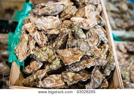 Fresh oysters in a box at the fish market