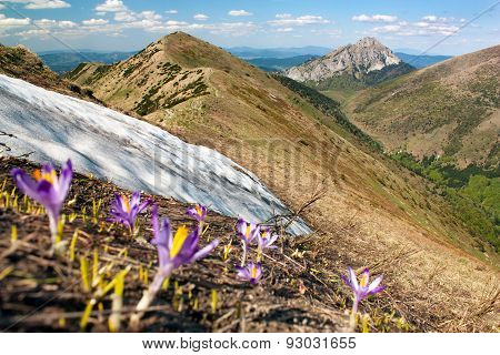 Mala Fatra Mountains And Mount Rozsutec - Slovakia