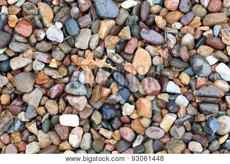 Rocks and Leaves on Ground
