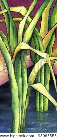 Coastal-water plant scirpus.