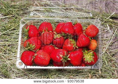 Fresh Strawberries In Plastic Box