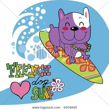 Fransk Bulldog Surf