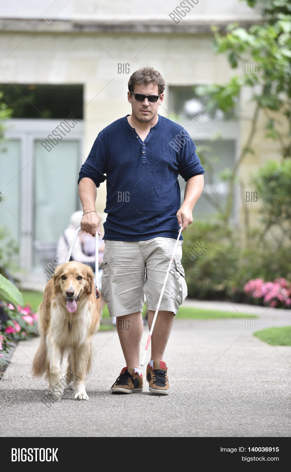 blind man walking park image photo free trial bigstock assistance for the blind