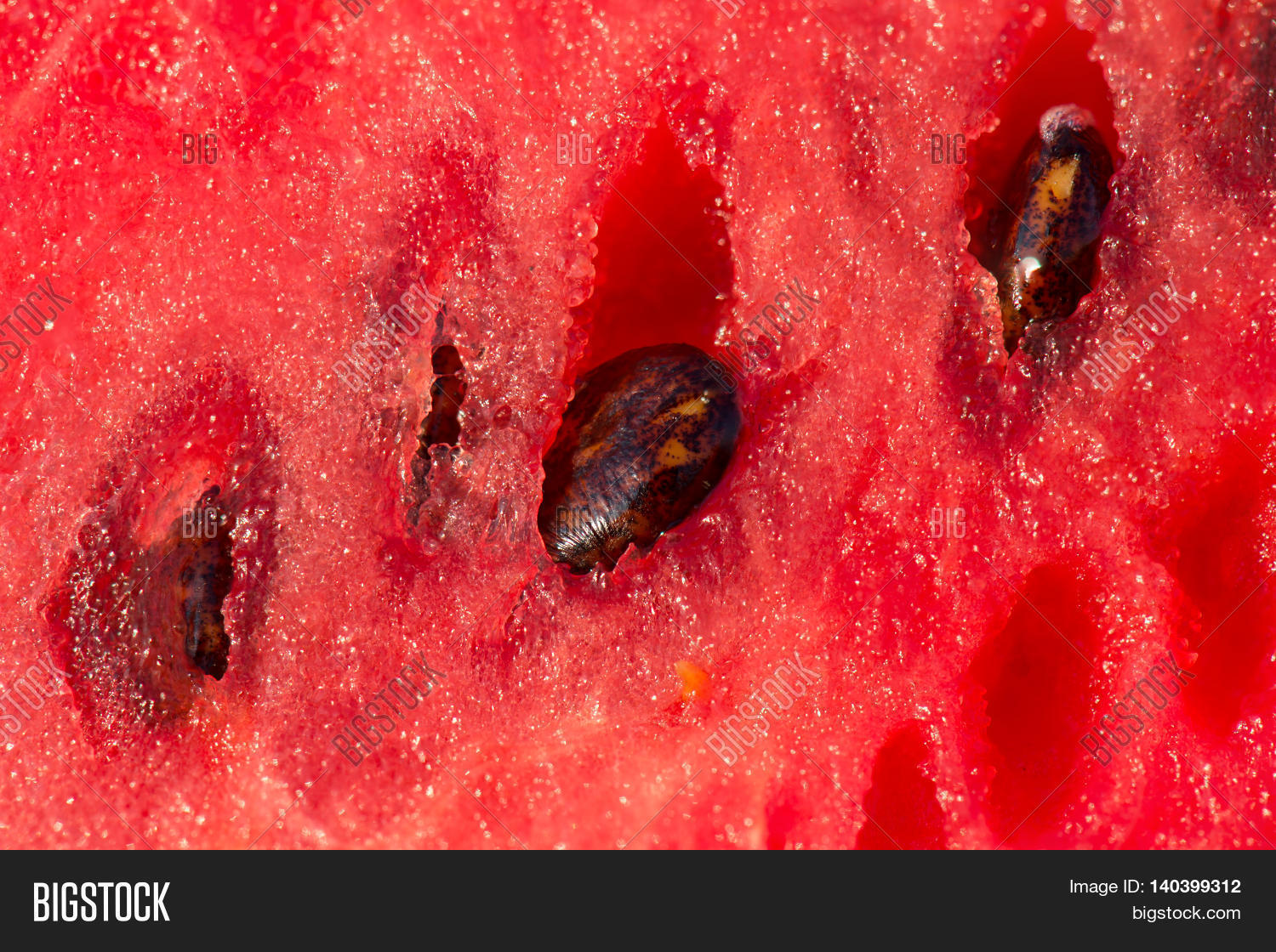 Red Watermelon Close Image & Photo (Free Trial) Bigstock