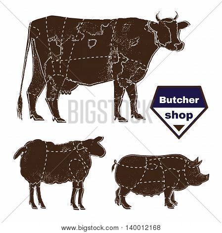 Set of farm animals for butcher shop with anatomic cut hand-drawn with chalk on blackboard