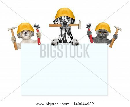 dogs and cat builders holding tools in their paws -- isolated on white
