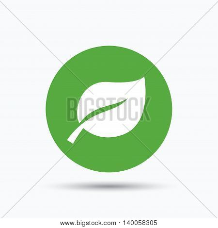 Leaf icon. Fresh organic product symbol. Flat web button with icon on white background. Green round pressbutton with shadow. Vector