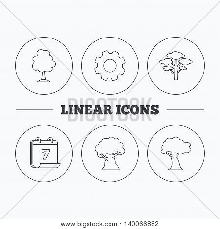 Pine tree, oak-tree icons. Forest trees linear sign. Flat cogwheel and calendar symbols. Linear icons in circle buttons. Vector