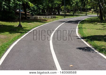 The only bike. asphalt, autumn, background, bicycle,