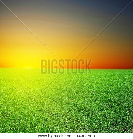 Salut image de référence du champ vert au coucher du soleil