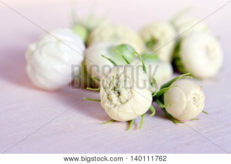 Jasmine Flower Bud Grouped On Wooden Board Background
