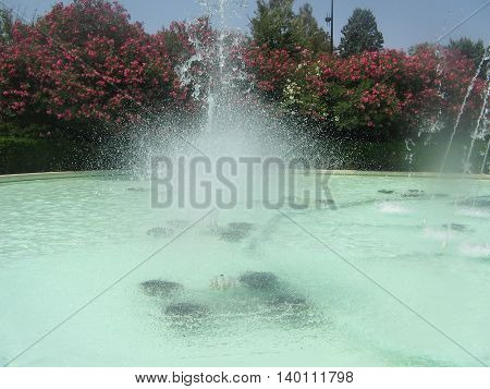 Bonitas  fuentes Parque J. A. Labordeta  Zaragoza. España.