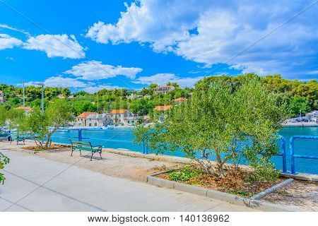 Mediterranean town Rogac on Island of Solta, view at olives tree with town in background, summertime.