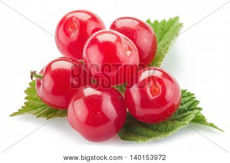 Nanking or felted cherry ftuits with leaves isolated on a white background.