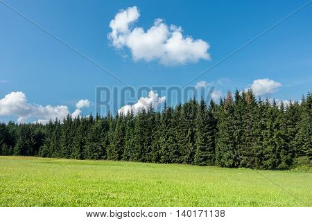 Amazing Summer Day In Nature