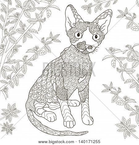 Zentangle stylized devon rex cat for coloring page. Anti-stress monochrome pattern. Vector illustration