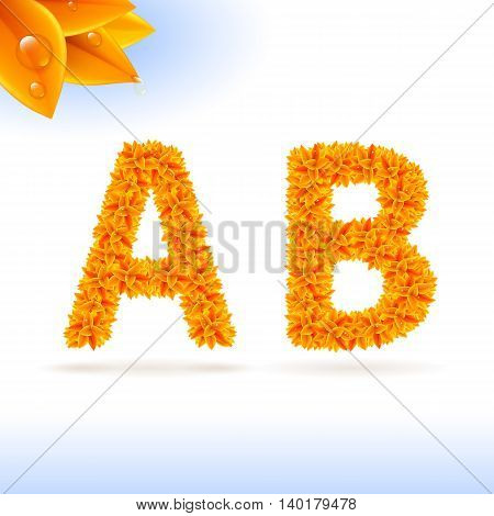 Sans serif font with orange leaf decoration on white background. A and B letters