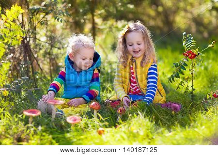 Happy laughing kids play in beautiful sunny autumn park. Little boy and girl watching toadstool mushroom in fall forest. Children hiking and playing outdoors. Preschooler learning toxic mushrooms.