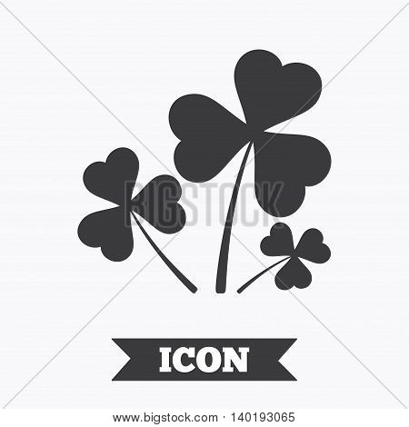 Clovers with three leaves sign icon. Saint Patrick trefoil shamrock symbol. Graphic design element. Flat trefoil clover symbol on white background. Vector