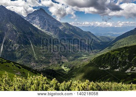 Summer Koprova Valley And Slovak National Mountain Called Krivan