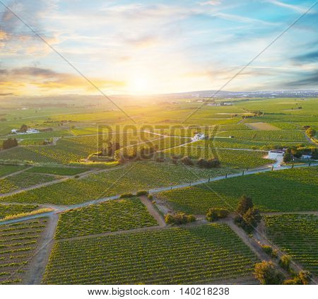 Aerial view of sunrise on vineyard in Chateauneuf du Pape, France, Europe
