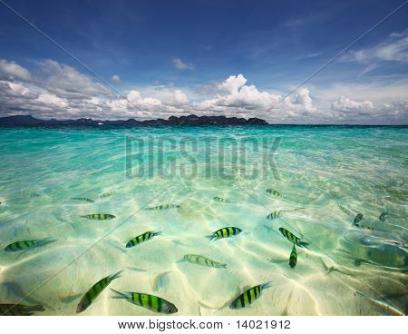 Transparante zeewater met vis en blauwe hemel met wolken