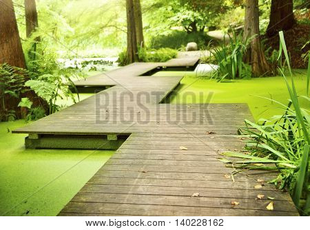 Modern footpath or gangplank over a pond in the woods. Old trees standing in a moor or swamp in the forest. Sunbeam and smooth light falling through the tree tops.