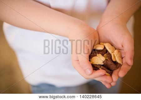 Small child holding Easter cookies in his hands. Hand of a kid full of sweet Easter bunnies. Easter celebration and sweet cookies. Rabbits.