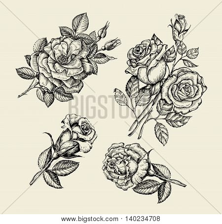 Flowers. Hand-drawn sketch flower, rose, dogrose, rosehip floral pattern Vector illustration