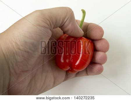 Small red bell pepper ood pepper meal bright