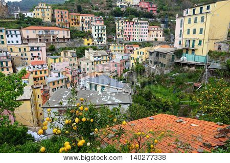 Cinque Terre