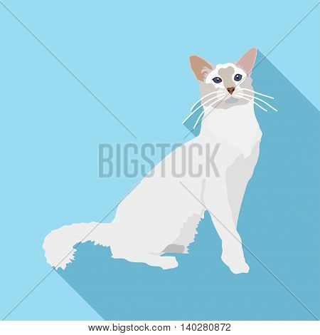 Cats Of Different Breeds With Long Shadow