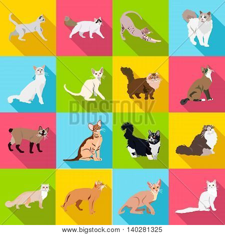 Set Cats Of Different Breeds With Long Shadow
