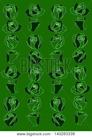 Roses, Set Icons With White Background