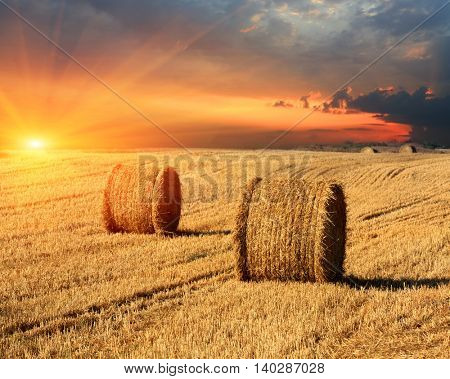 evening sunset scene with hay rolls on farming field