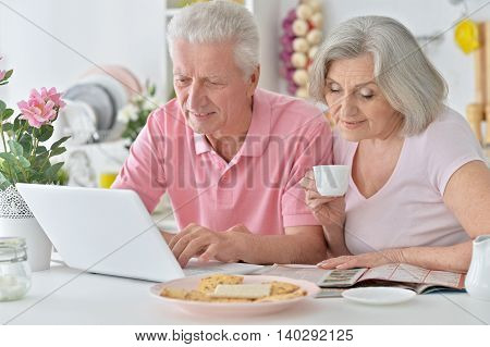 Senior couple portrait with laptop at home