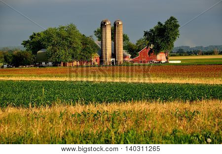 Lancaster County Pennsylvania - June 5 2015: Newly planted corn field and an Amish farm with twin silos barns and sheds