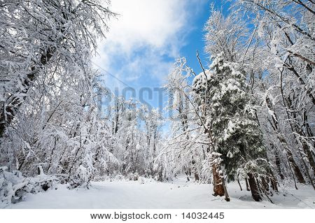 Snowbound Winter Earthroad