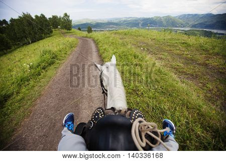 Riding a horse on a rural road. View from the horse