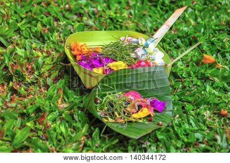 Canang Sari is one of Daily Balinese hindus people offerings made to thank the gods in praise and pray.