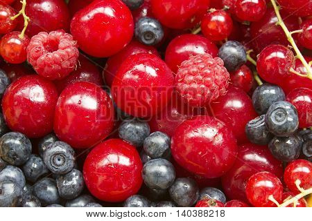 Summer Berries background close up view: raspberry cherry blueberry and red currant.
