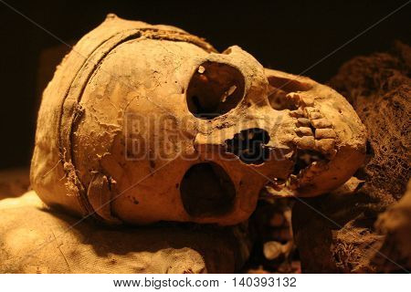 Real human ancient scull in the museum