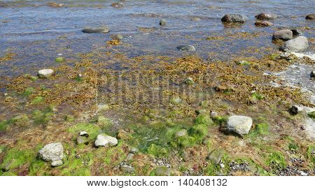 Stones at the beach on Hiddensee Island Germany