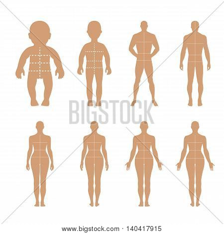 Full length front back human silhouette vector illustration with marked body's sizes lines isolated on white