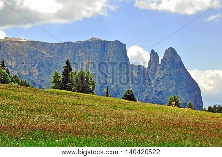 Italian Alps on summer, landscape in Dolomites