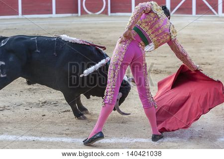 Sabiote SPAIN August 26 2011: The Spanish Bullfighter Miguel Tendero bullfighting with the crutch in the Bullring of Sabiote Spain