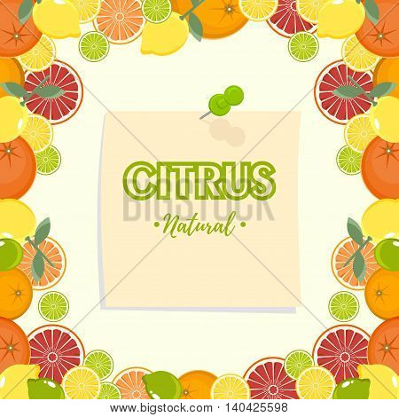 Grapefruit, lime, lemon and orange. Citrus mix isolated on white background can be used for cafe menu design.