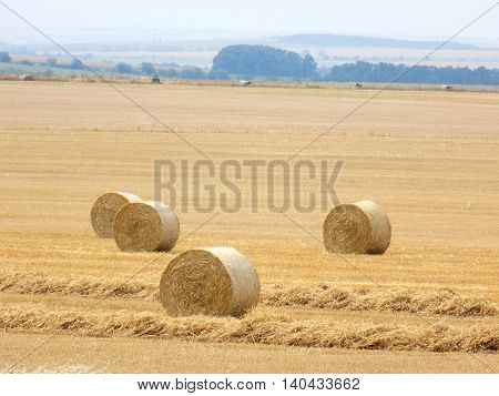 Hay bales on field after harvest during summer