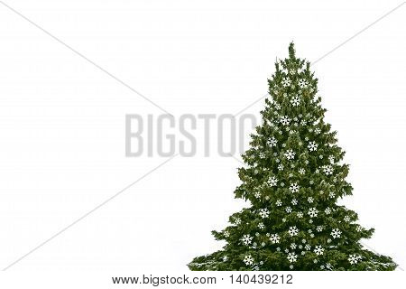Snow covered trees. fir branch isolated on white background. Christmas tree