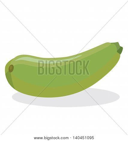 Squash - pumpkin race with an oblong fruit